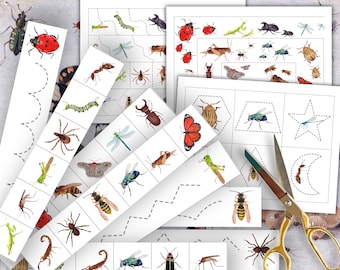 INSECTS Cutting Strips, Scissor Practice, Preschool printable, Homeschool activity