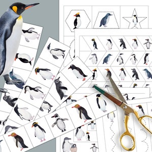 Könnte beinhalten: Ein druckbares Aktivitätsblatt zum Thema Pinguine für Kinder. Das Blatt enthält verschiedene Pinguinbilder und Formen zum Ausschneiden und Zuordnen. Das Blatt ist perfekt, um die Feinmotorik und die Hand-Augen-Koordination zu entwickeln.