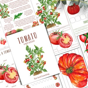 TOMATO Unit Study, Life Cycle, Anatomy, Nature Study, Science, Homeschool, Montessori, INSTANT DOWNLOAD