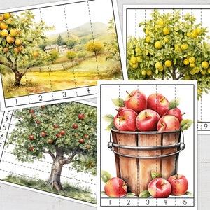 APPLES Number Sequence Puzzles, Skip Counting, Printable, Preschool counting activity, INSTANT DOWNLOAD