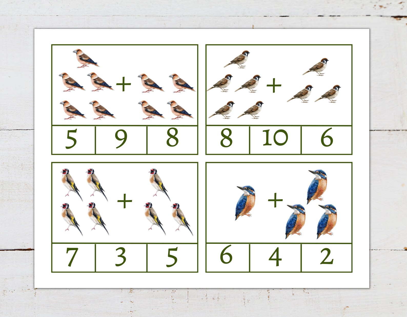 Addition Example Using Red Bird BIRD Addition Clip Cards, 1 to 10, Early Math Activity for Kids ...