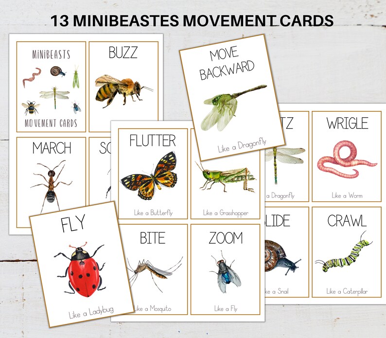 MINIBEASTS MOVEMENT CARDS, Calm Down Activity, Kids Movement, Montessori Flashcards, Fitness for Kids, homeschool printable image 2