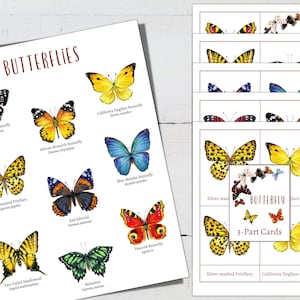 BUTTERFLY Species Mini Poster + 3-teilige Karten, Homeschool, Montessori, Instant Download