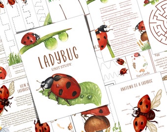 LADYBUG Unit Study, Life Cycle, Anatomy, Nature Study, Science, Homeschool, Montessori, INSTANT DOWNLOAD