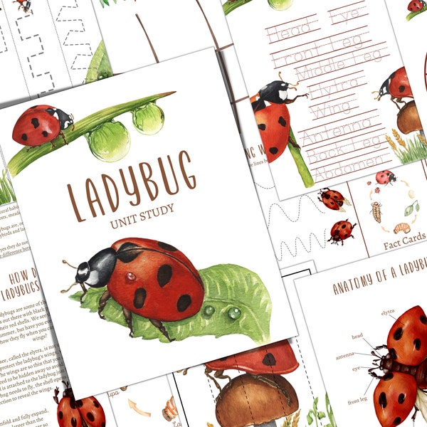 LADYBUG Unit Study, Life Cycle, Anatomy, Nature Study, Science, Homeschool, Montessori, INSTANT DOWNLOAD