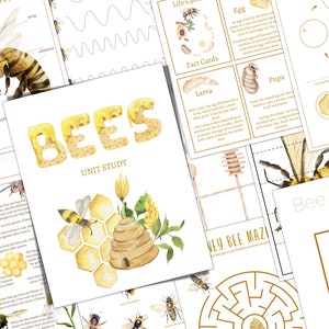 BEE Unit Study, Life Cycle, Anatomy, Nature Study, Science, Homeschool, Montessori, INSTANT DOWNLOAD