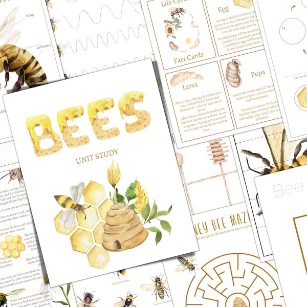 Estudio de la Unidad BEE, Ciclo de Vida, Anatomía, Estudio de la Naturaleza, Ciencia, Educación en el Hogar, Montessori, DESCARGA INSTANTÁNEA