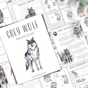 WOLF Mini Unit Study, Life Cycle, Anatomy, Nature Study, Science, Homeschool, Montessori, INSTANT DOWNLOAD
