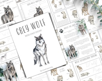 Puede incluir: Un recurso educativo imprimible para aprender sobre los lobos grises. El conjunto incluye un mini estudio, tarjetas de información, hojas de trazado de vocabulario y diagramas de anatomie. Las hojas de trabajo presentan ilustraciones de lobos en acuarela.