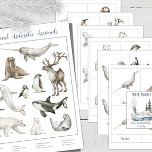 ANIMALES POLARES Mini Póster + Tarjetas de 3 Partes, Animales Árticos y Antárticos, Educación en el Hogar, Montessori, Descarga Instantánea