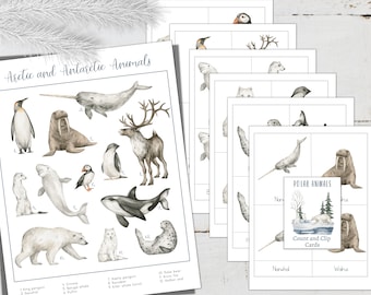 ANIMAUX POLAIRES Mini affiche + cartes en 3 parties, animaux de l'Arctique et de l'Antarctique, école à la maison, Montessori, téléchargement immédiat