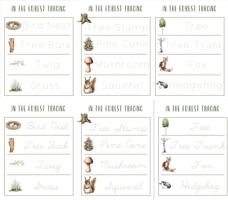 IN THE FOREST Pre-k and K Activity Pack, Homeschool, Digital, Instant ...