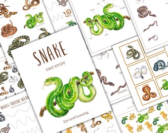 SNAKE Unit Study, Life Cycle, Anatomy, Nature Study, Science, Homeschool, Montessori, INSTANT DOWNLOAD