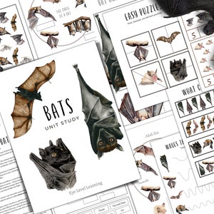 BAT Unit Study, Life Cycle, Anatomy, Nature Study, Science, Homeschool, Montessori, INSTANT DOWNLOAD