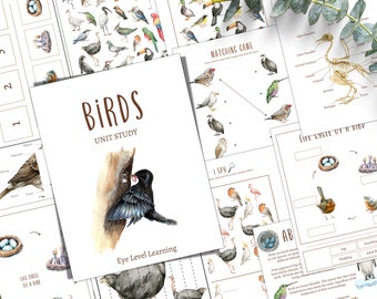 BIRD Unit Study, Life Cycle, Anatomy, Nature Study, Science, Homeschool, Montessori, INSTANT DOWNLOAD