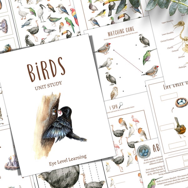 BIRD Unit Study, Life Cycle, Anatomy, Nature Study, Science, Homeschool, Montessori, INSTANT DOWNLOAD