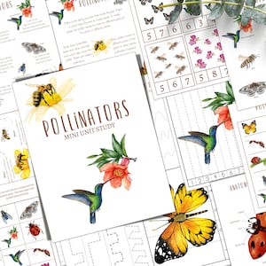 POLLINATOR Unit Study, Anatomy, Nature Study, Science, Homeschool, Montessori, INSTANT DOWNLOAD