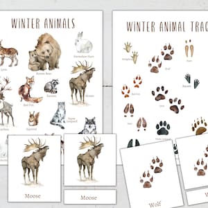 ANIMALES DE INVIERNO Mini Póster + Tarjetas de 3 Partes, Educación en el Hogar, Montessori, Descarga Instantánea