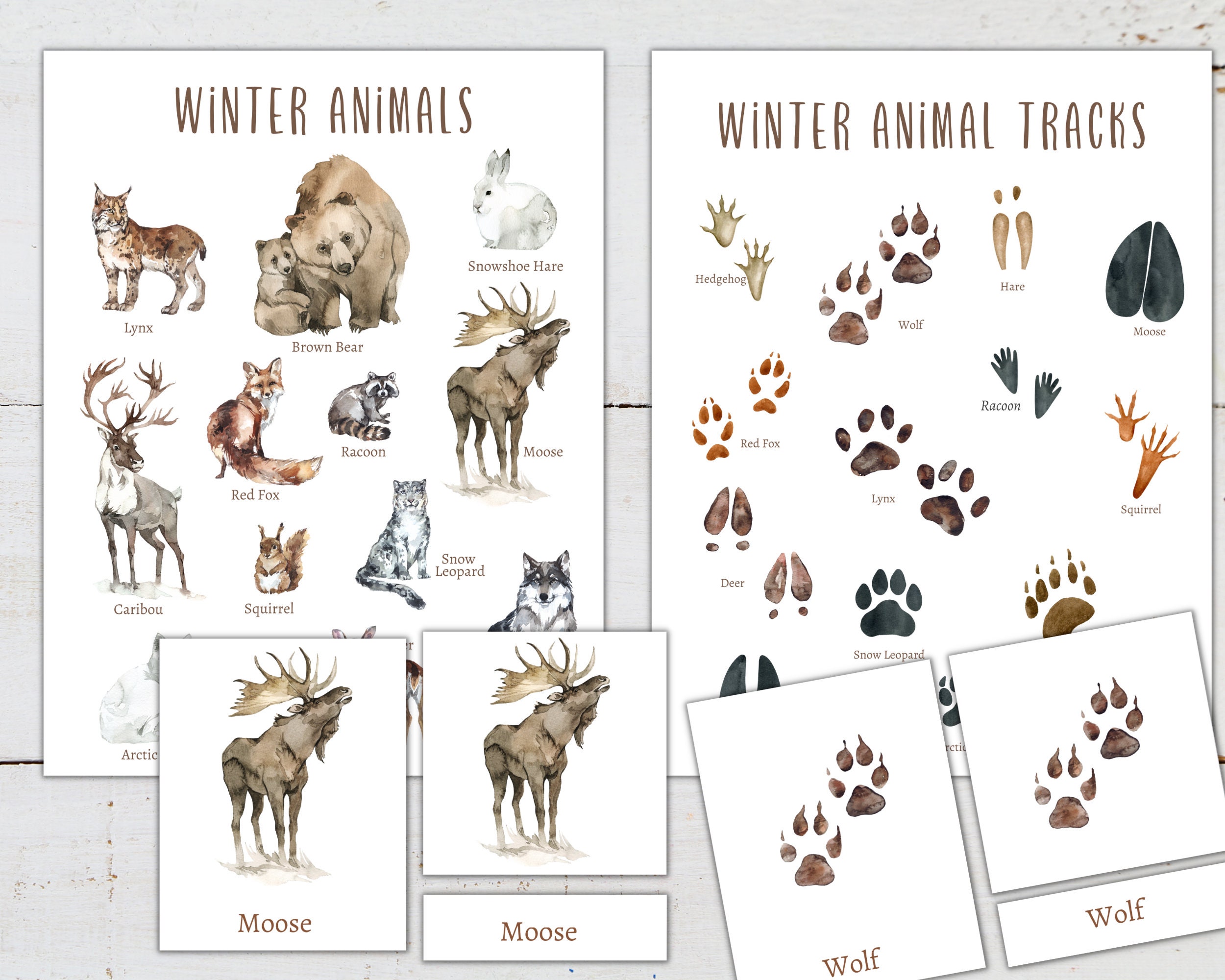 ANIMAUX D'HIVER Mini poster + cartes en 3 parties, école à la maison, Montessori, téléchargement immédiat