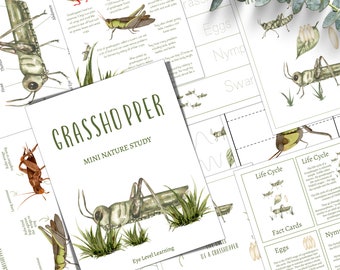 GRÄSHOPPA Enhetsstudie, Livscykel, Anatomi, Naturstudier, Naturvetenskap, Hemundervisning, Montessori, DIREKT NEDLADDNING