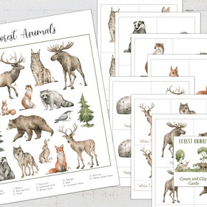 ANIMALES DEL BOSQUE Mini Póster + Tarjetas de 3 Partes, Educación en el Hogar, Montessori, Descarga Instantánea