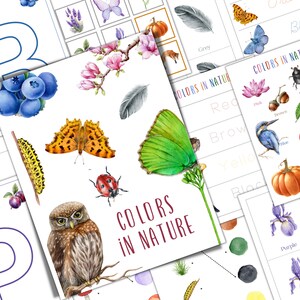 COLORS in Nature Activities, Flashcards, Color Flashcards, Vocabulary, Montessori, Colors, Educational, PDF File, Instant Download