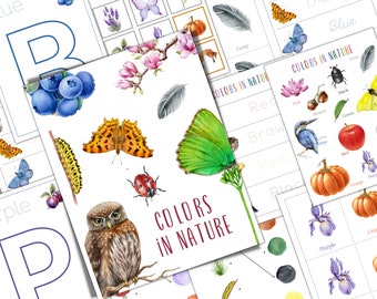COLORS in Nature Activities, Flashcards, Color Flashcards, Vocabulary, Montessori, Colors, Educational, PDF File, Instant Download