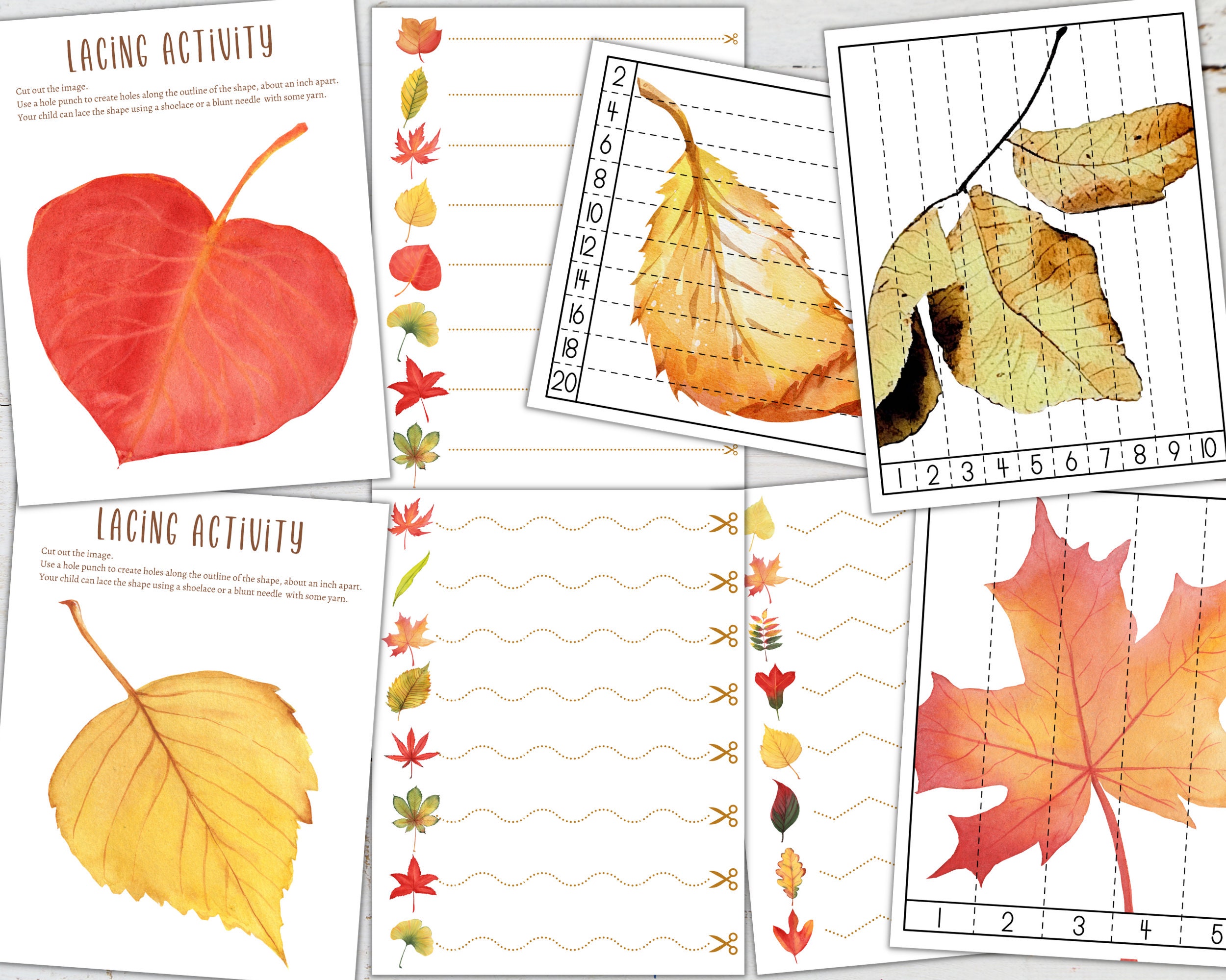 AUTUMN LEAVES Pre-k and K Activity Pack, Homeschool, Digital, Instant ...