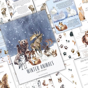WINTER ANIMALS Unit Study, Life Cycle, Anatomy, Nature Study, Science, Homeschool, Montessori, Instant DOWNLOAD