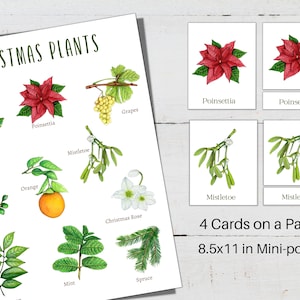 CHRISTMAS PLANTS Mini Poster + 3-Part Cards, 10 Christmas Plants, Homeschool, Montessori, INSTANT Download