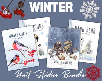 WINTER NATURE BUNDLE, Christmas, Nativity and Nutcracker Activity Packs, Instant Download