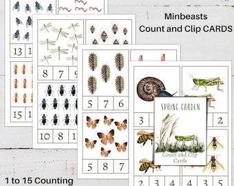 MINIBEASTS Tarjetas de conteo y clip, conteo del 1 al 15, actividad de primavera para niños, descarga instantánea