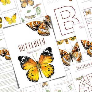 Schmetterling Einheitsstudie, Lebenszyklus, Anatomie, Arten, Naturstudie, Wissenschaft, Homeschool, Montessori, SOFORTIGER DOWNLOAD