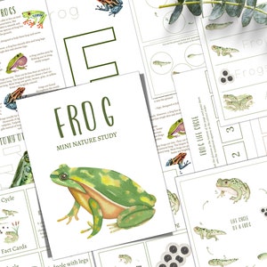 FROG Unit Study, Life Cycle, Anatomy, Nature Study, Science, Homeschool, Montessori, INSTANT DOWNLOAD