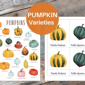 PUMPKIN Varieties Mini Poster + 3-Part Cards, Homeschool, Montessori, Instant Download