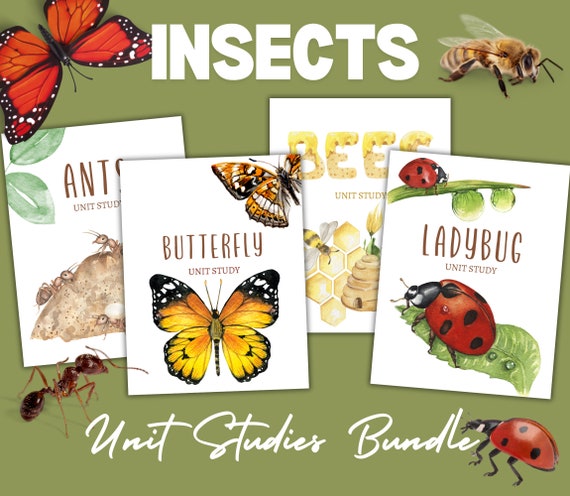 INSECTS BUNDLE, Bees, Ants, Ladybug, Butterflies Unit Studies, Homeschool, Instant Download