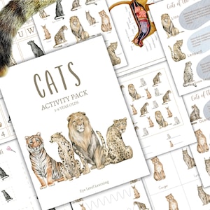 Paquete de actividades CATS para preescolar y jardín de infantes, educación en casa, digital, descarga instantánea