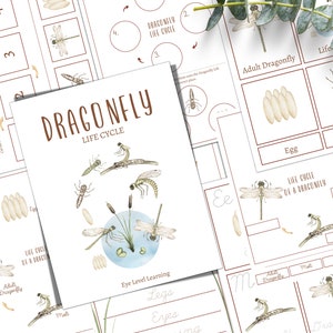 DRAGONFLY levenscyclus, natuurstudie, wetenschap, thuisschool, Montessori, INSTANT DOWNLOAD