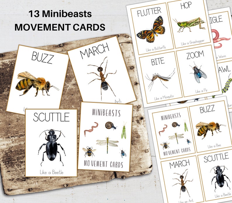 MINIBEASTS MOVEMENT CARDS, Calm Down Activity, Kids Movement, Montessori Flashcards, Fitness for Kids, homeschool printable image 1