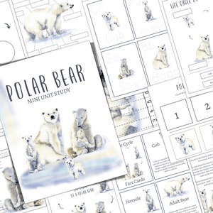POLAR Bär Mini Einheit Studie, Lebenszyklus, Anatomie, Natur Studie, Wissenschaft, Homeschool, Montessori, INSTANT DOWNLOAD