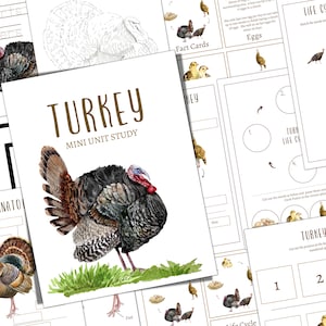 TURKEY Mini Unit Study, Life Cycle, Anatomy, Nature Study, Science, Homeschool, Montessori, INSTANT DOWNLOAD