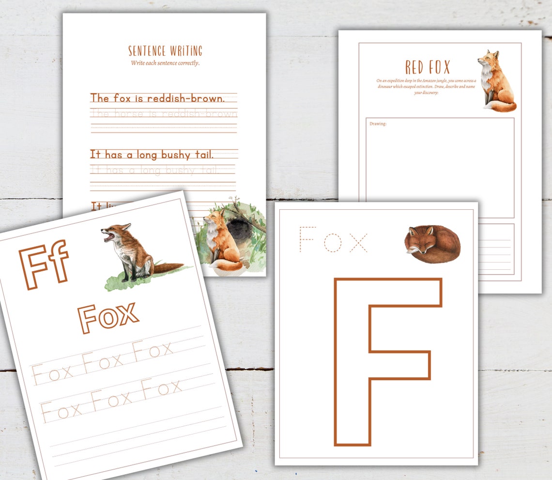 RED FOX Mini Unit Study, Life Cycle, Anatomy, Nature Study, Science ...