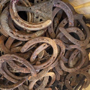 Herraduras usadas de granja directamente del herrador