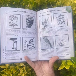 May include: Open book with illustrations of potion ingredients, including plants, a unicorn, and a bird. The book's title reads "Advanced Potion Making." The pages are held open by a hand, with green foliage in the background.