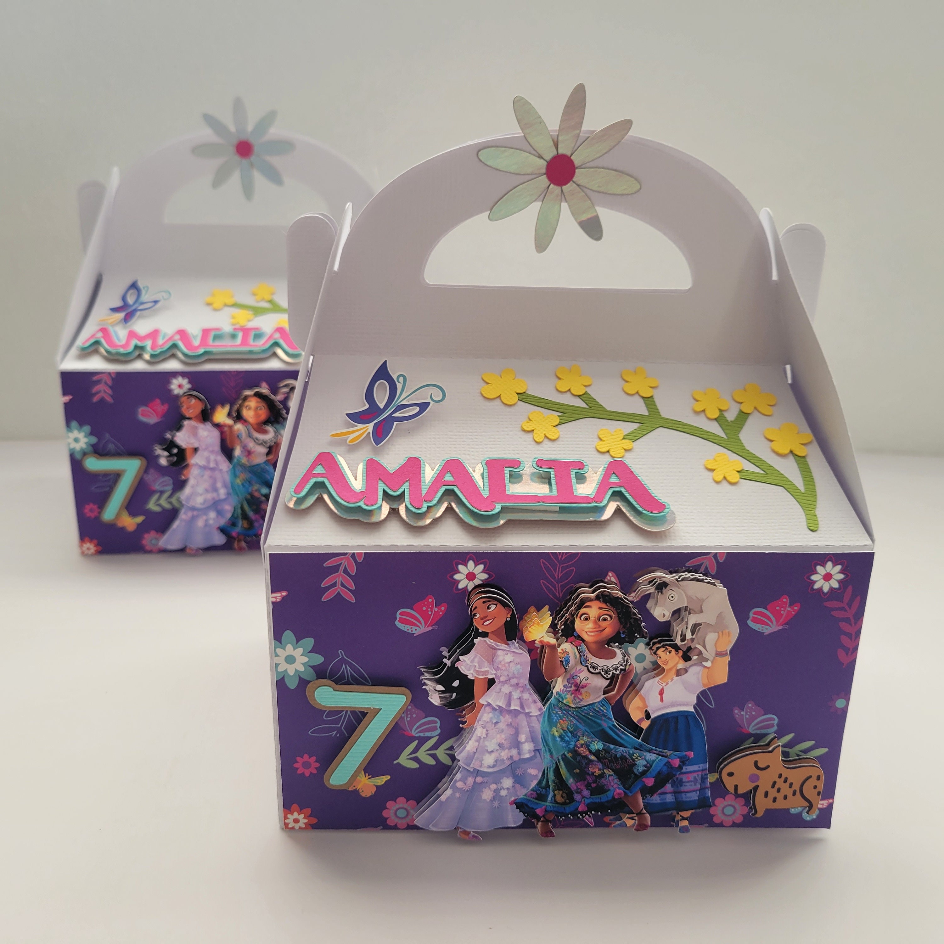 Encanto Favor Boxes Encanto Lunch Box Encanto Gabble Box Etsy Australia