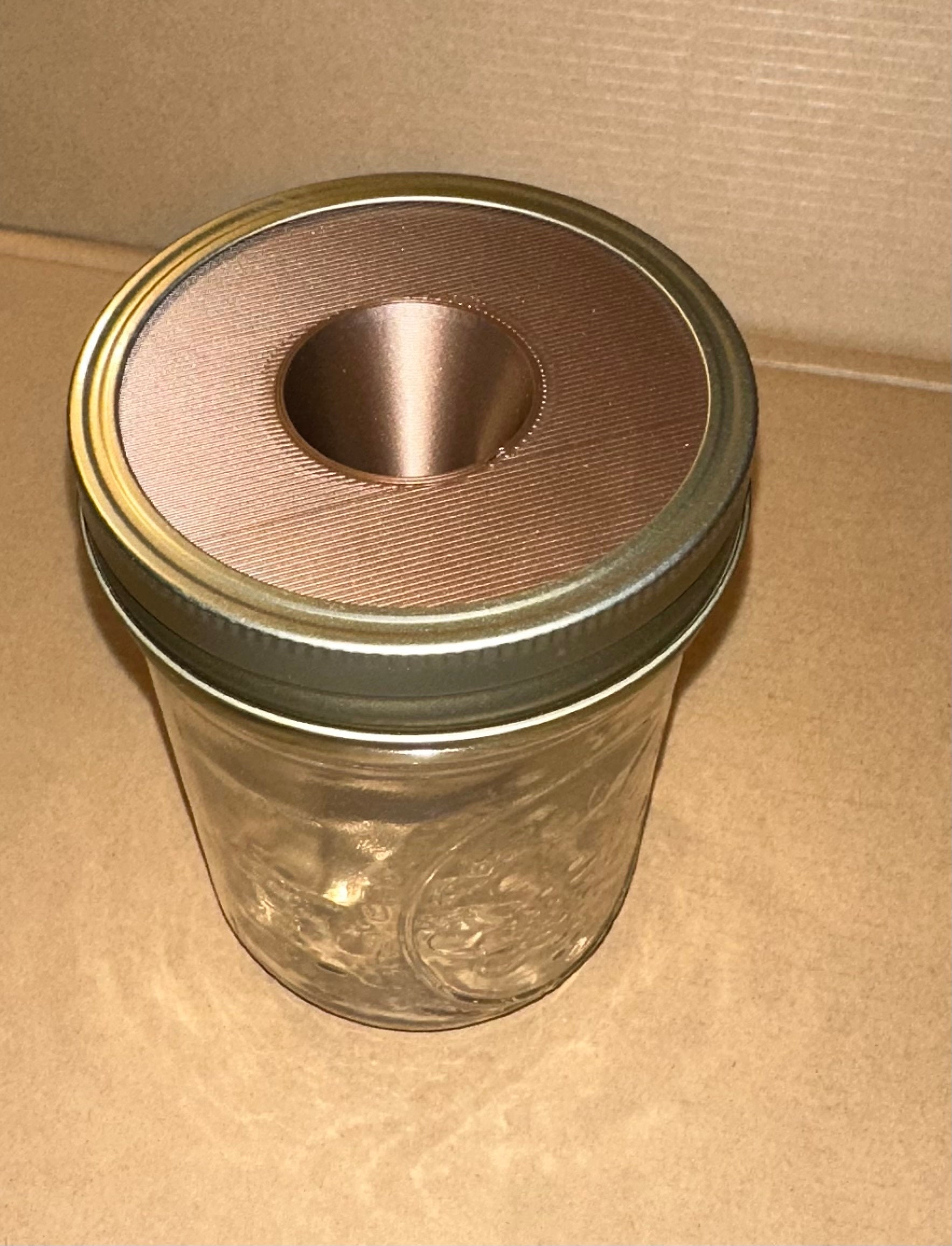 Wasp, and Yellow Jacket Traps for Large Mason Jars 2 Pieces Etsy