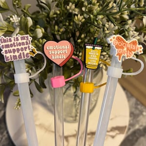 book lover straw topper