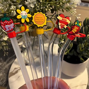 cute bookish straw topper