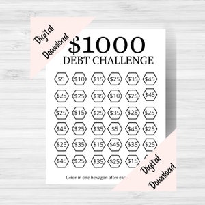 1000 Debt Challenge | Visual Debt Challenge | Perfect for a Visual Learner