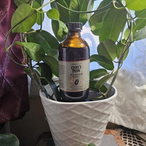 8 oz. Jamaican Black Castor Oil (100% Authentic All Natural JBCO) 2 free samples with purchase